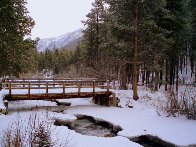 Photo pont piétonnier sur un ruisseau couvert de neige dans la forêt