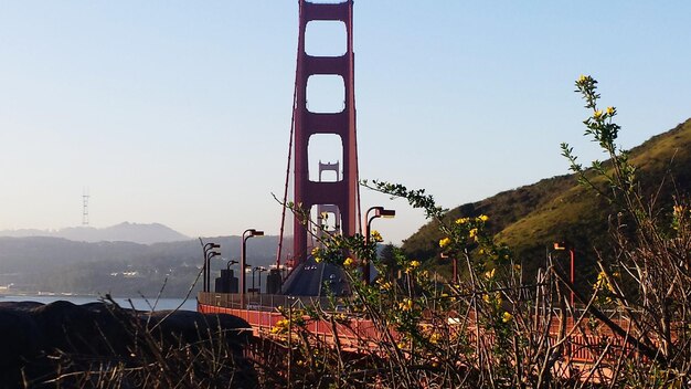 Le pont de la porte dorée contre un ciel clair.