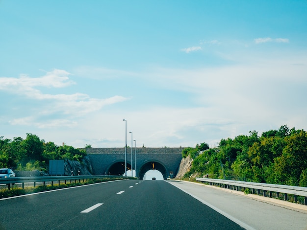 Pont pour animaux sur la route pont vert sur la route