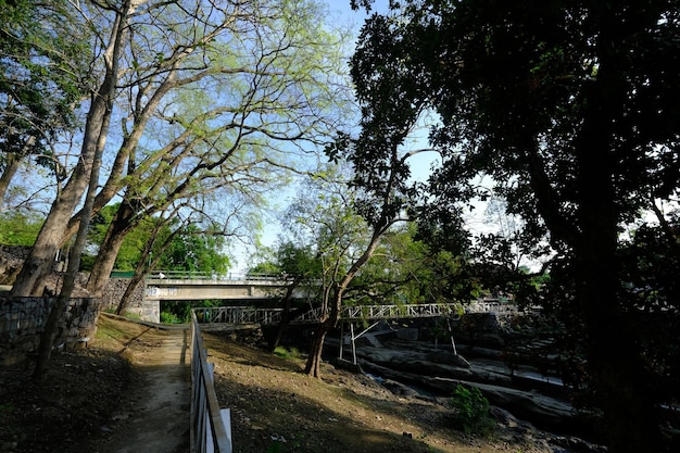 Un pont sur une rivière avec des arbres et un pont en arrière-plan