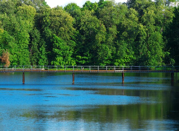 Pont de la rivière au fond de paysage de parc d'été