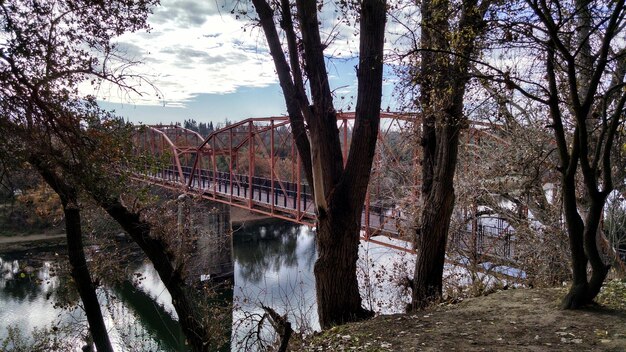 Le pont sur la rivière au milieu des arbres