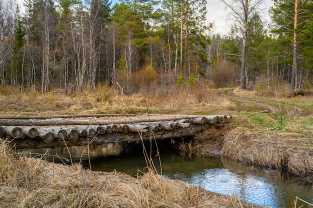 Pont et rivière en bois du sud de l'Oural avec une végétation paysagère unique et une diversité de la nature