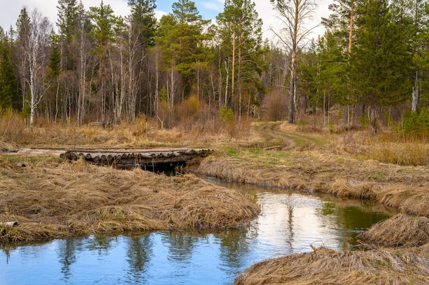Pont et rivière en bois du sud de l'Oural avec une végétation paysagère unique et une diversité de la nature