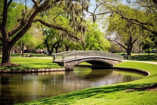 Photo un pont sur une rivière dans un parc