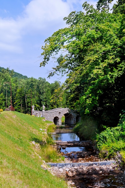 Pont sur une rivière rapide