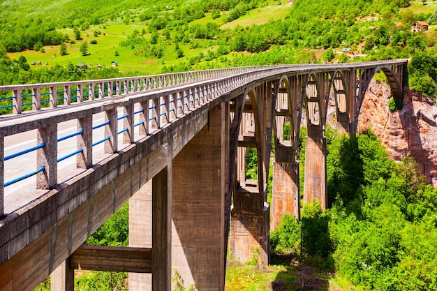 Pont de la rivière Tara près de Zabljak Monténégro