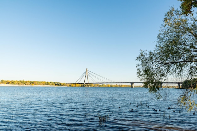 Le pont sur la rivière vers la forêt verte pont de la rivière arbres canards