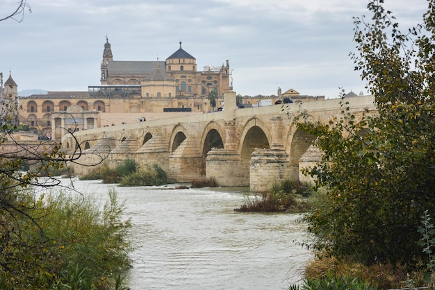 Pont romain sur le Guadalquivir et Mesquite à Cordoue