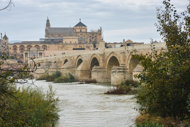 Pont romain sur le Guadalquivir et Mesquite à Cordoue