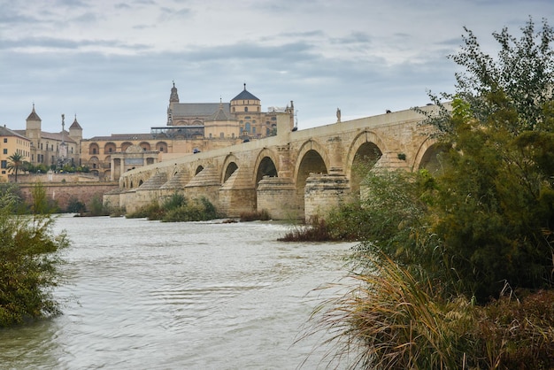 Pont romain sur le Guadalquivir et Mesquite à Cordoue