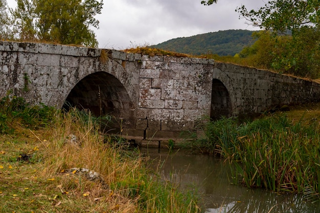 Pont romain de Reinosilla, sur la rivière Camesa.