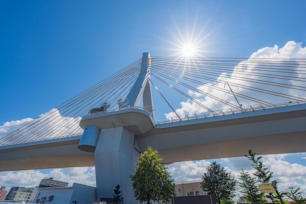 Un pont avec le soleil qui brille dessus