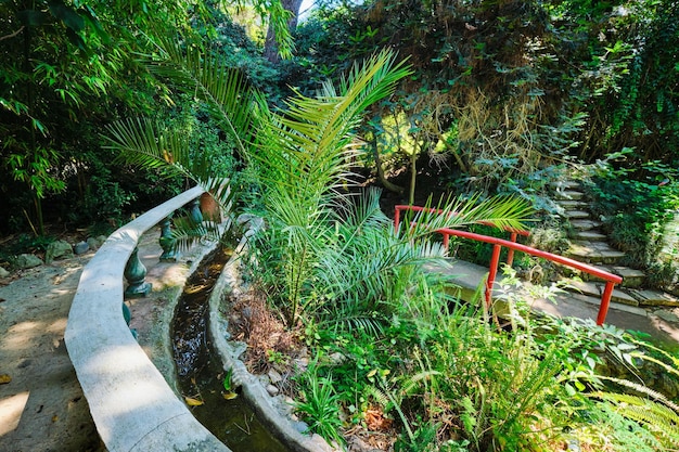 Pont de style chinois dans la partie asiatique du jardin botanique tropical de Lisbonne au Portugal