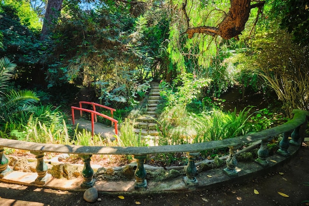 Pont de style chinois dans la partie asiatique du jardin botanique tropical de lisbonne portugal