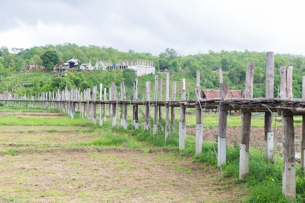 Pont de Su Tong Pae