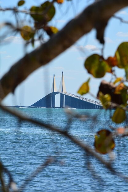 Photo le pont sunshine skyway interstate 275 de la région de la baie de tampa, en floride, est encadré de mangroves.