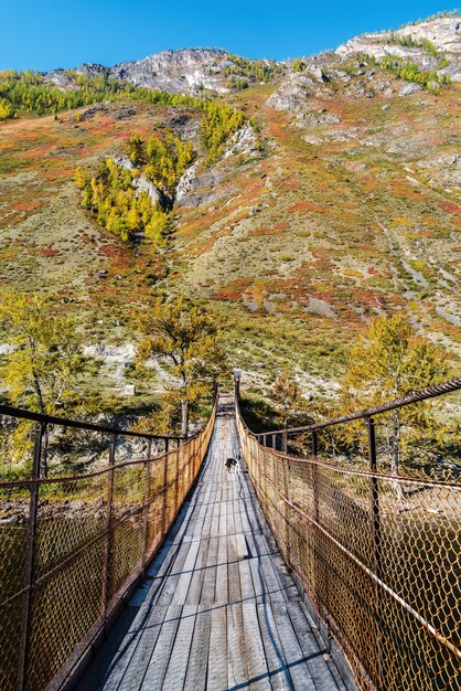 Pont suspendu au-dessus de la rivière de montagne dans la gorge Russie Altai Chulyshman River