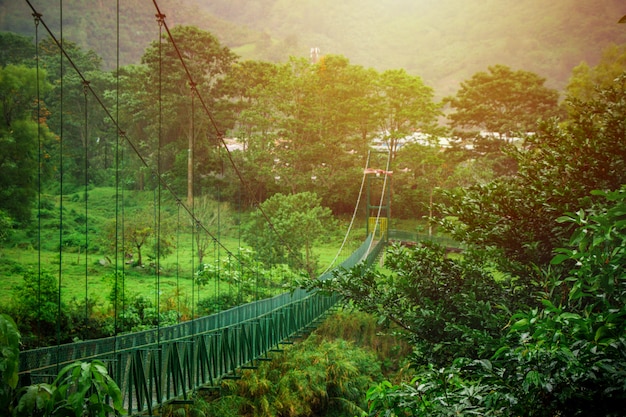 Pont suspendu au milieu de la nature au Costa Rica