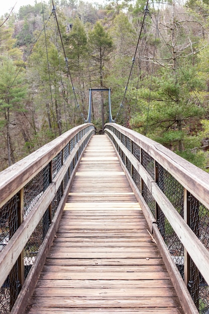 Pont suspendu en bois dans la forêt verte