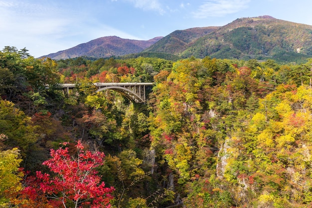 Pont traversant les gorges de Naruko