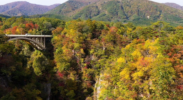 Pont traversant les gorges de Naruko