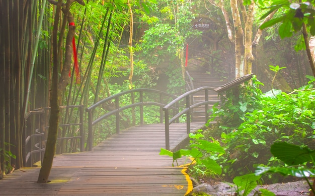 Pont vers la jungle, Sanya, Chine, parc national de Yanod