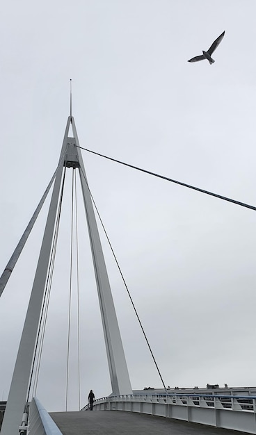 pont avec vol d'oiseau