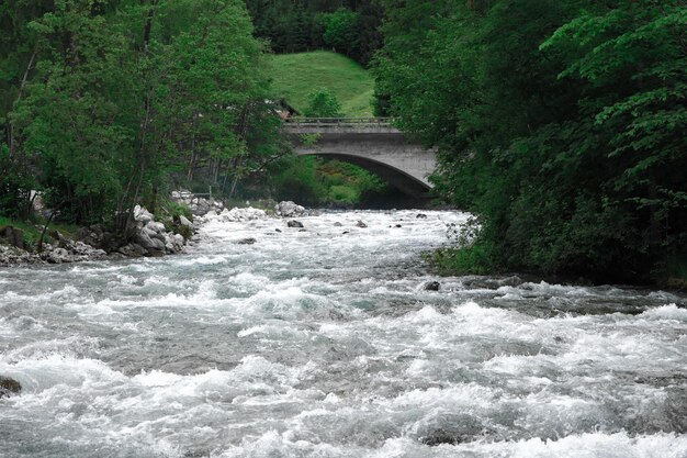 Pont en voûte sur le ruisseau au milieu des arbres de la forêt