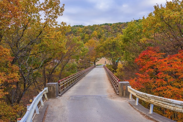 Pont Yukiwari et gorge Yukiwari de Shirakawa. Aux abords de ce pont, les feuilles d'automne sont très belles.