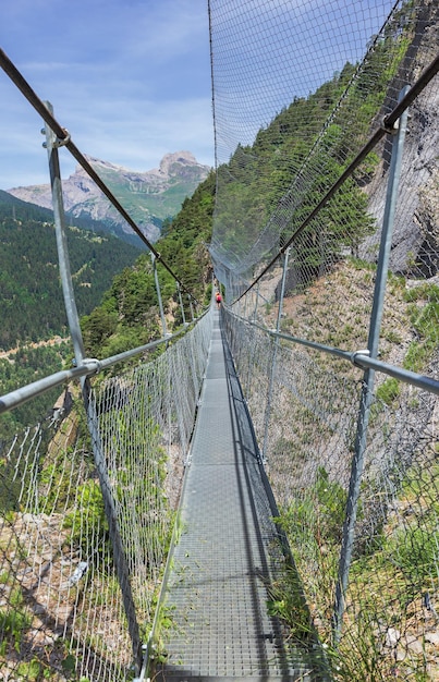 Ponts suspendus dans les Alpes suisses