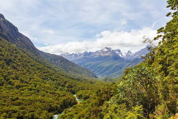 Les Pops Vue Sur La Forêt Et La Rivière Fiordland National Park Ile Sud Nouvelle Zelande