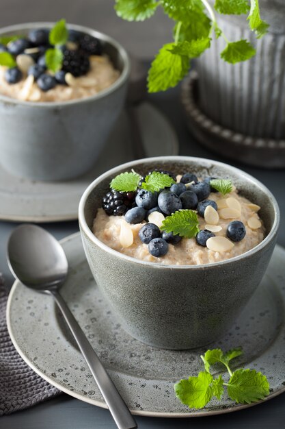 Porridge de flocons d'avoine coupé en acier avec petit-déjeuner sain