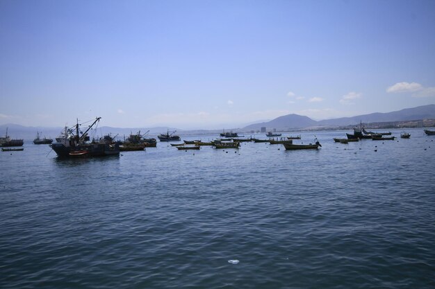 Port de Coquimbo Chili