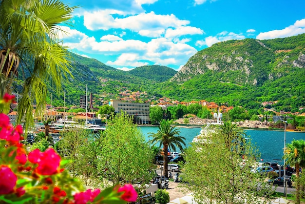 Port de Kotor