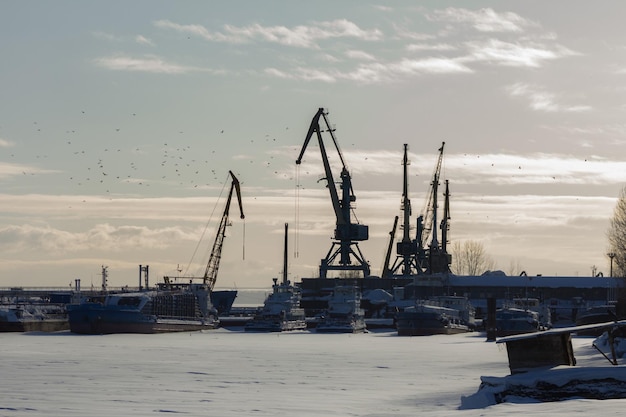 Port maritime au jour d'hiver ensoleillé - grues de chargement dans le port de glace, silhouette, téléobjectif