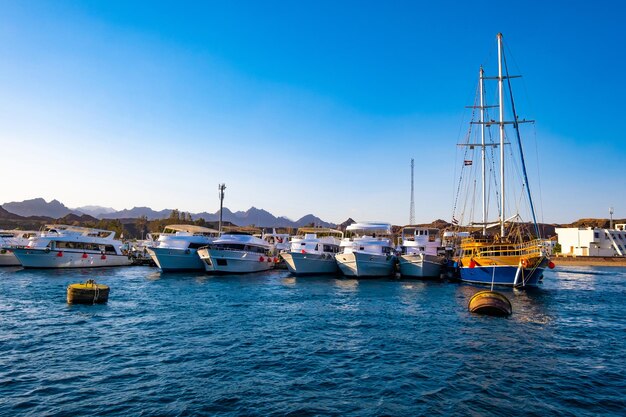 Port avec navires et yachts modernes