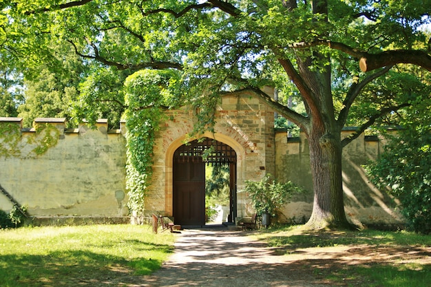 Porte d'un ancien château médiéval