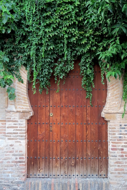 Photo porte arabe pleine de végétation d'une vieille maison