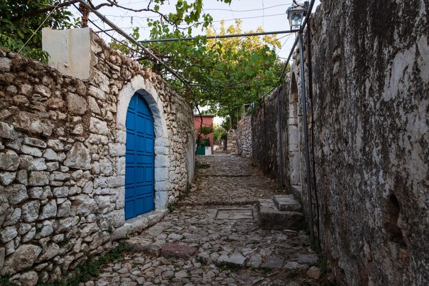 Photo une porte bleue dans une ruelle étroite avec un arbre suspendu au-dessus.