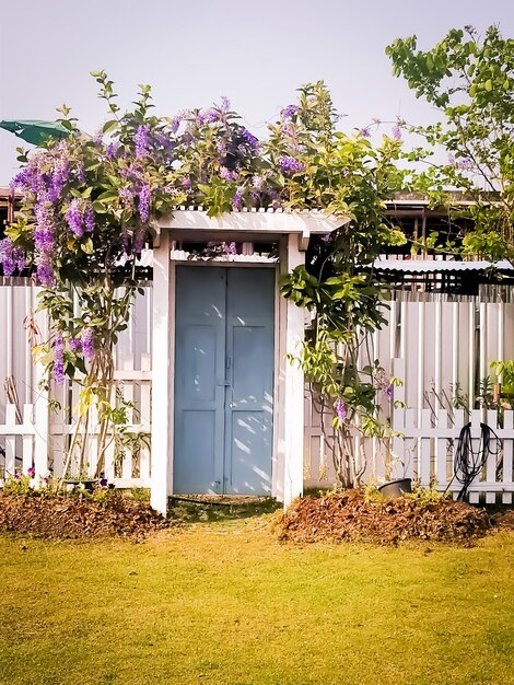 Une porte bleue avec des fleurs violettes dessus