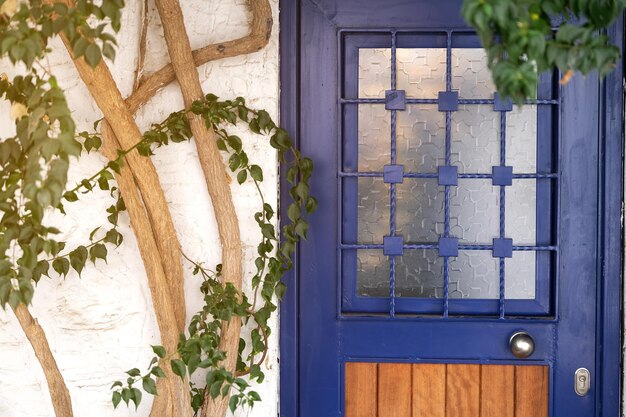 Porte d'entrée bleue avec verre et motif encadré de plantes à la lumière du soleil