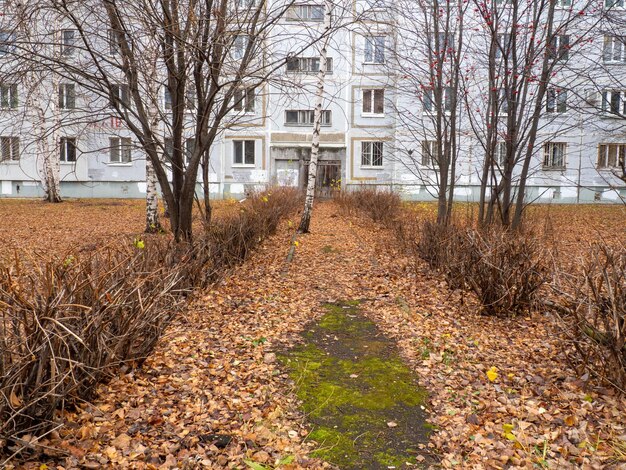 La porte d'entrée de la maison et le chemin abandonné