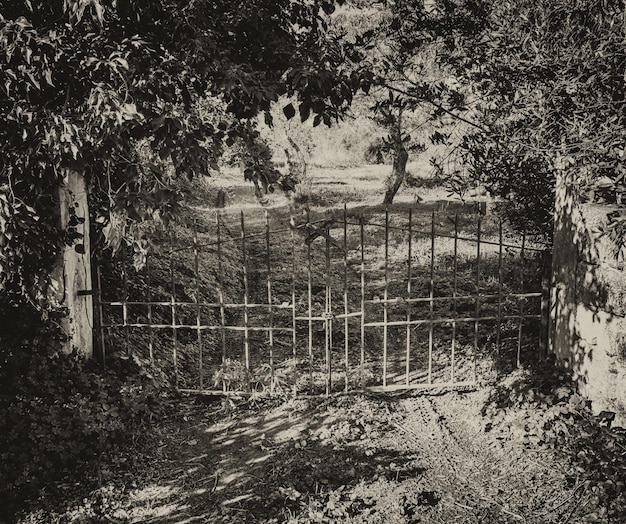 Porte de fer dans le pays en noir et blanc