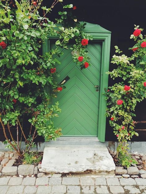 Photo la porte fermée au milieu des roses rouges qui fleurissent dans le jardin