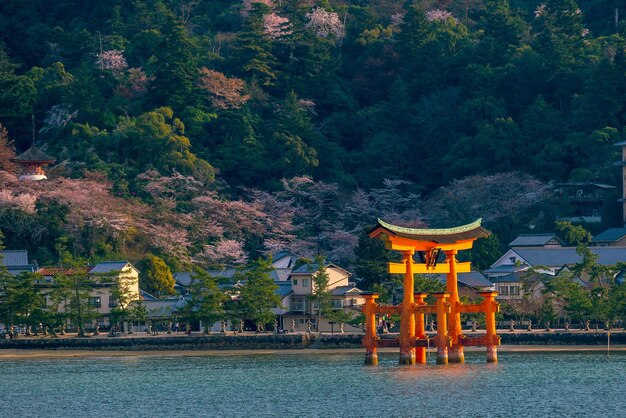 Photo la porte flottante du sanctuaire d'itsukushima