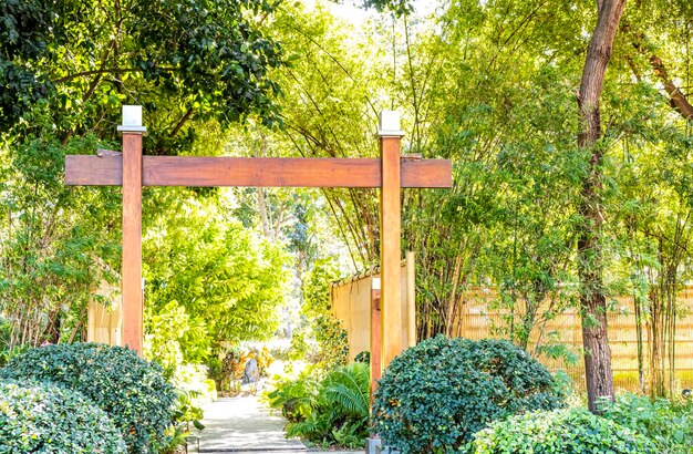 Porte japonaise en bois torii au fond de la saison abstraite de l'environnement de la forêt verte