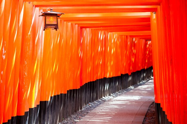 Porte rouge nommée Torii et lanterne pendue dans le sanctuaire Fushimi Inari, Japon