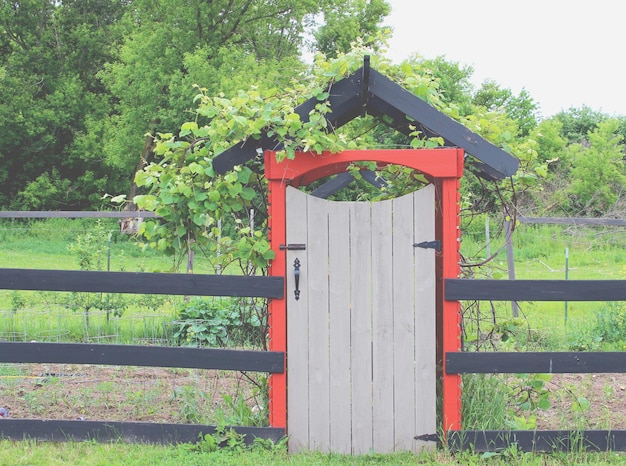 Photo porte sur le terrain au parc