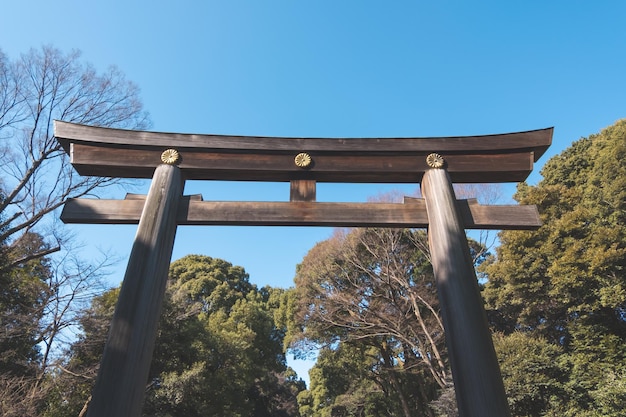 Porte torii du sanctuaire Meiji Jingu à Tokyo au Japon